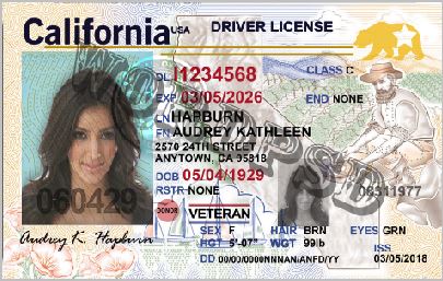 ca drivers license template free
